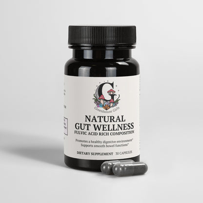 Natural Gut Wellness Capsules